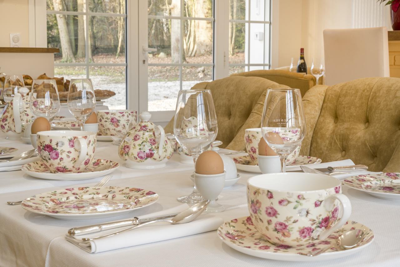 Bed and Breakfast Domaine Du Bois Des Anges Germigny-l'Eveque Екстер'єр фото