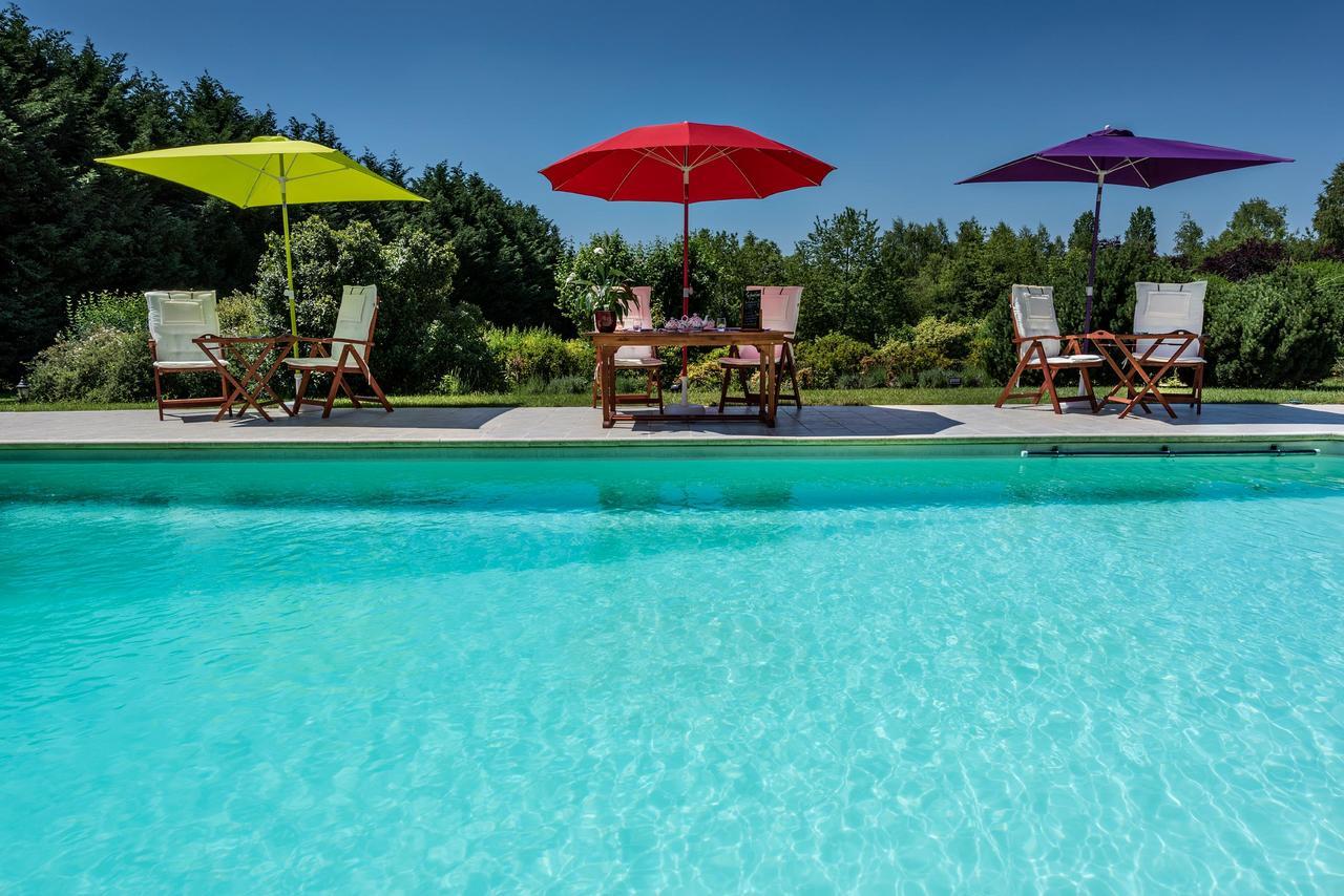 Bed and Breakfast Domaine Du Bois Des Anges Germigny-l'Eveque Екстер'єр фото