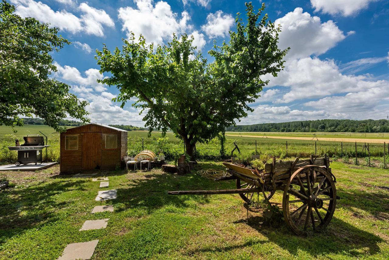 Bed and Breakfast Domaine Du Bois Des Anges Germigny-l'Eveque Екстер'єр фото