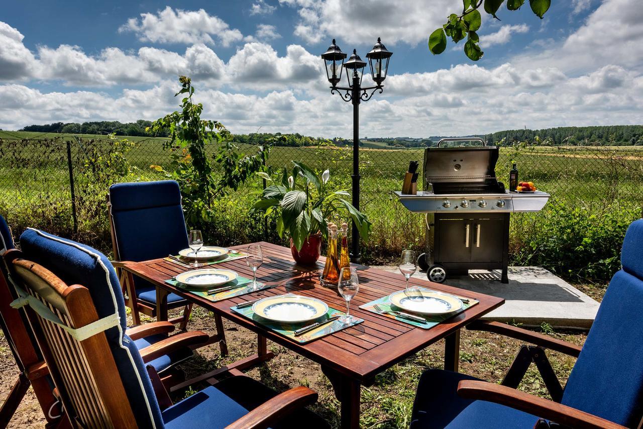 Bed and Breakfast Domaine Du Bois Des Anges Germigny-l'Eveque Екстер'єр фото